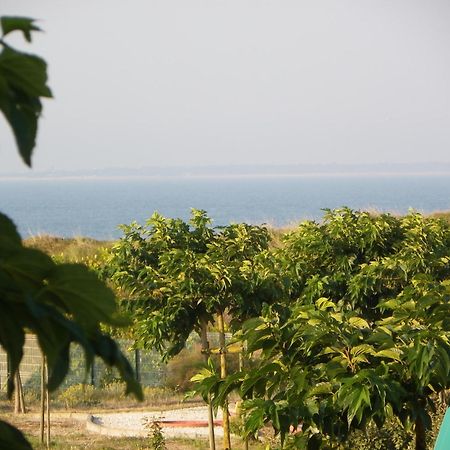 Au Petit Bonheur Ξενοδοχείο La Tranche-sur-Mer Εξωτερικό φωτογραφία